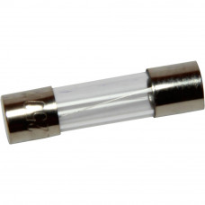 Fuse Small Glass 10 amp (pack of 4)