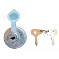 Ignition Switch - Plant - Common